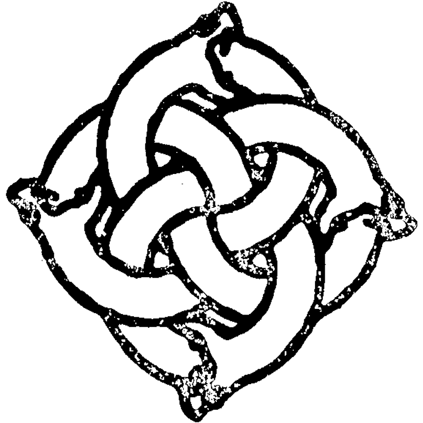 testwordpress.sillycollapse.com